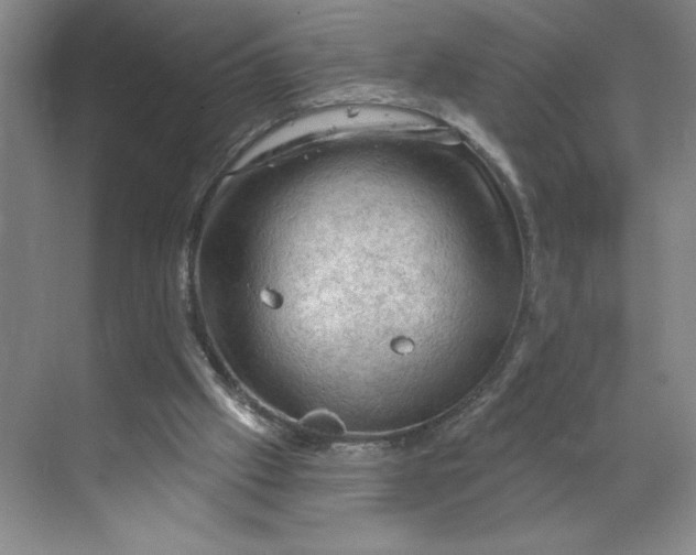 X0000068820057200605191844