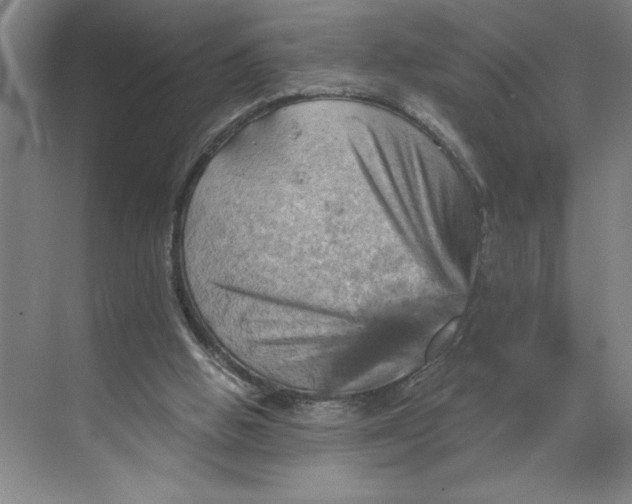 X0000068820058200605191844