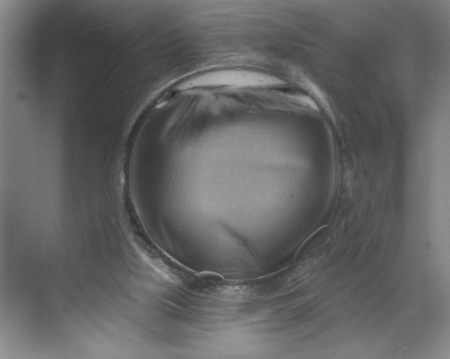 X0000068820059200605191844