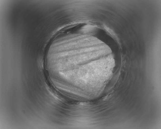 X0000068820060200605191844
