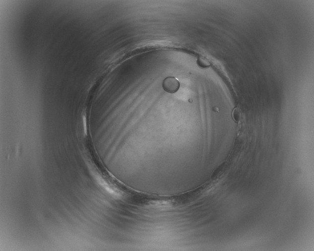 X0000068820061200605191844