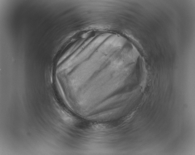 X0000068820062200605191844