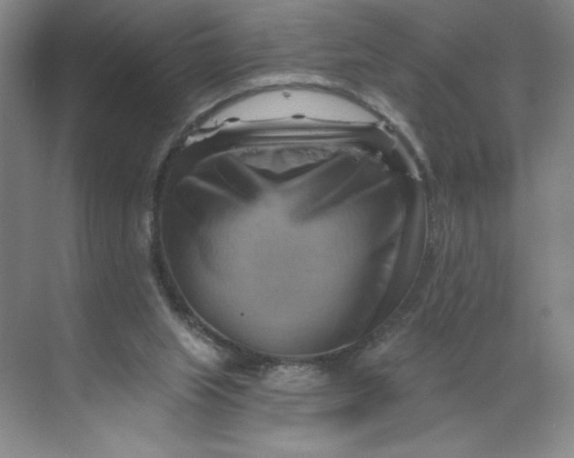 X0000068820063200605191844