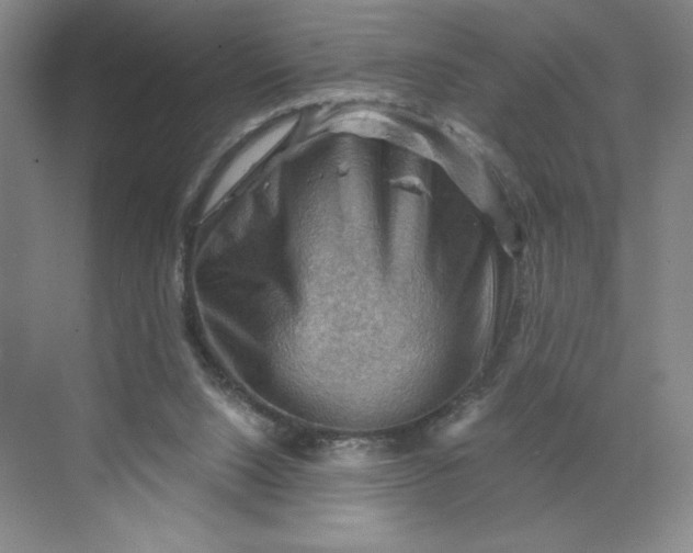 X0000068820064200605191844