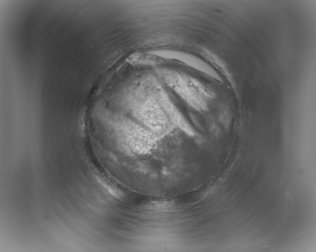 X0000068820065200605191844