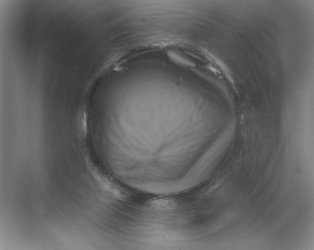 X0000068820067200605191844