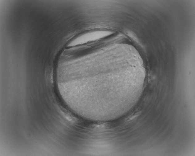 X0000068820068200605191844