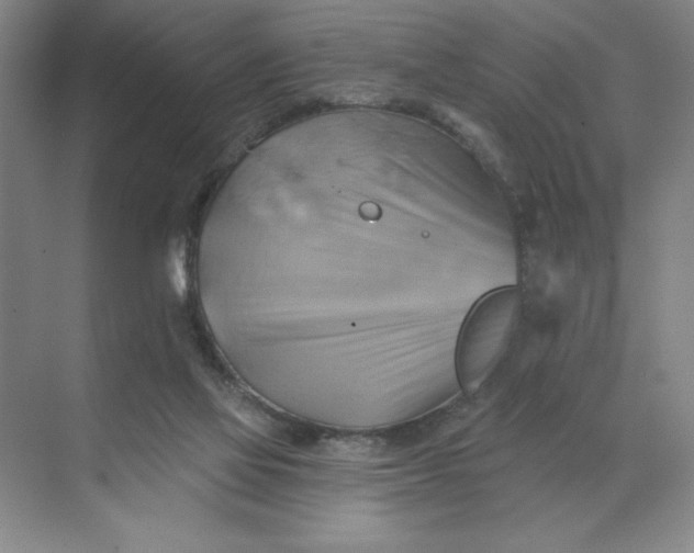 X0000068820069200605191844