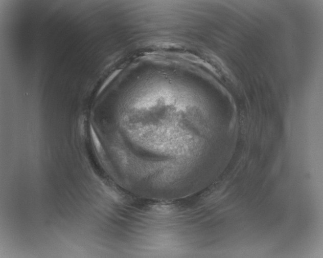 X0000068820071200605191844