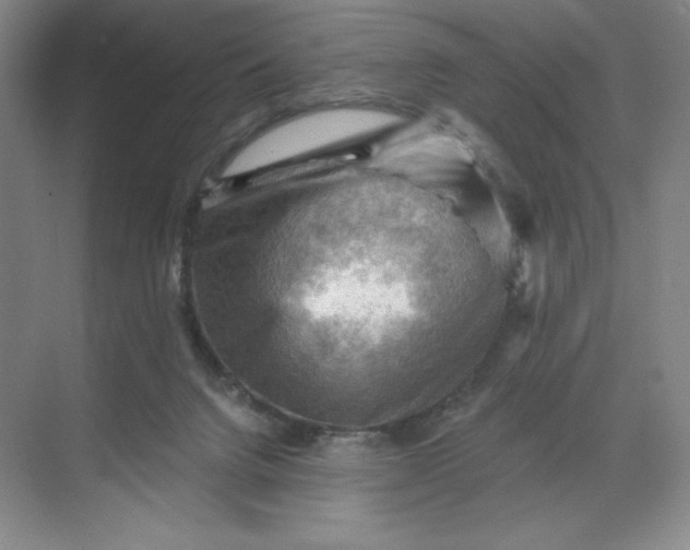 X0000068820072200605191844