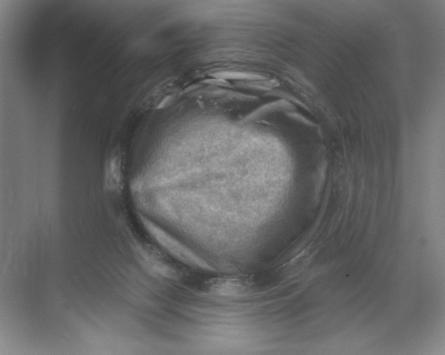 X0000068820074200605191844