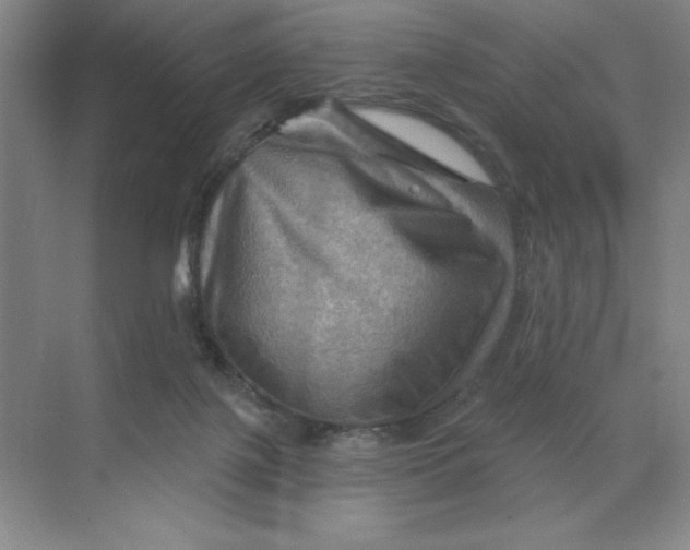 X0000068820075200605191844