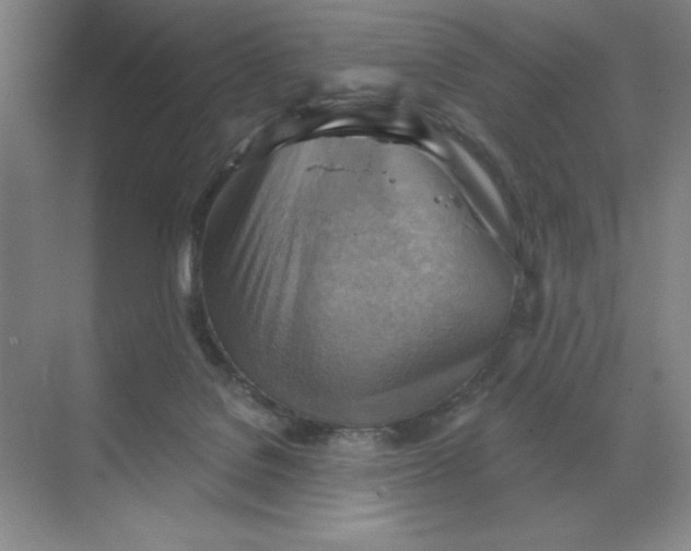 X0000068820076200605191844