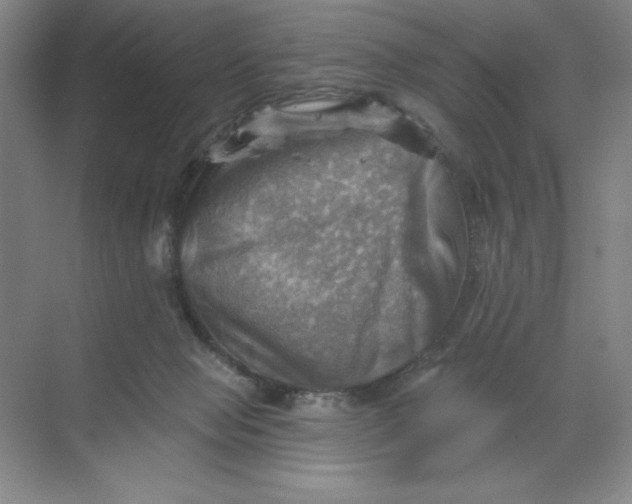 X0000068820077200605191844