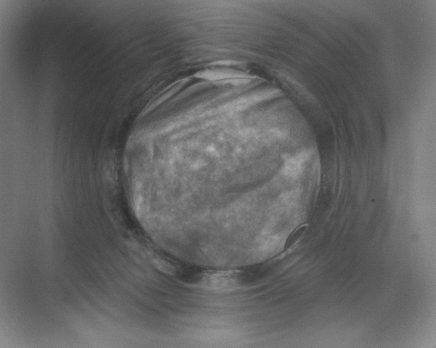 X0000068820078200605191844