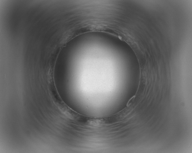 X0000068820079200605191844