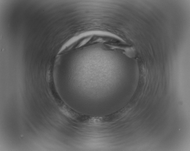 X0000068820080200605191844