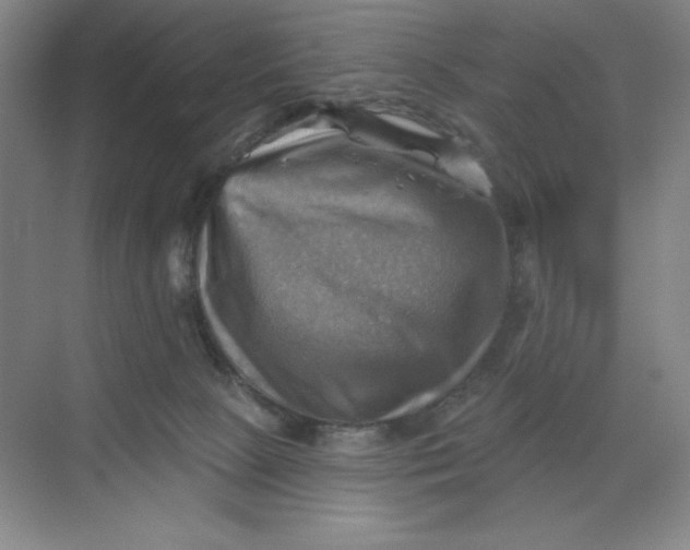 X0000068820081200605191844