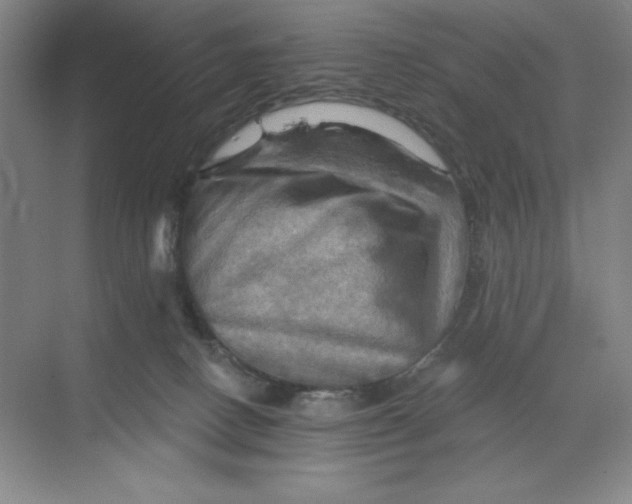 X0000068820082200605191844