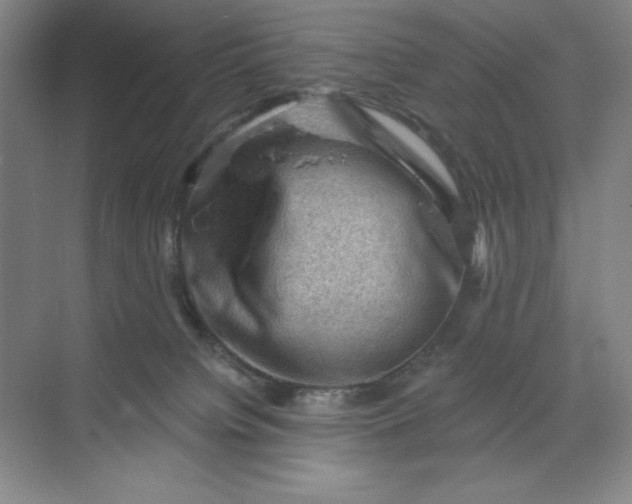 X0000068820084200605191844