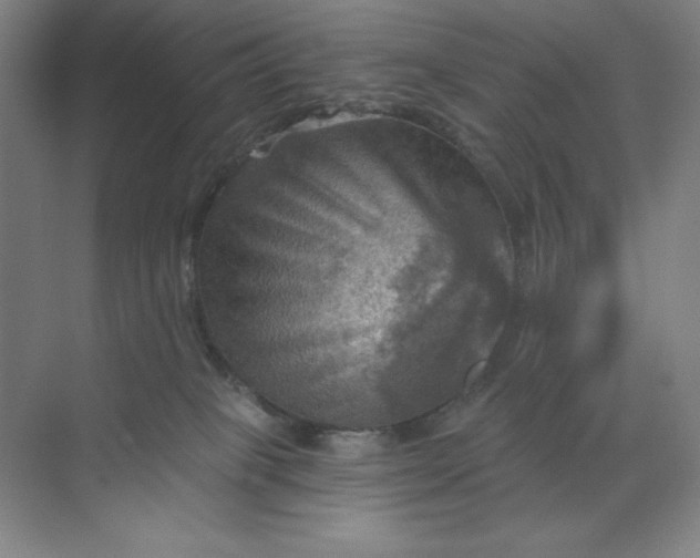 X0000068820085200605191844