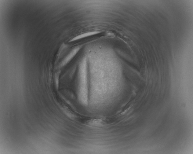 X0000068820086200605191844