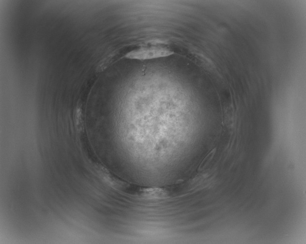 X0000068820087200605191844