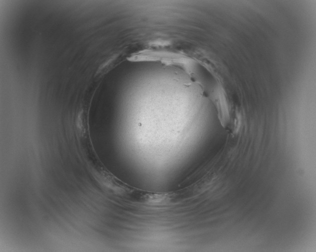 X0000068820088200605191844