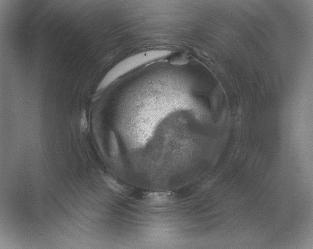 X0000068820089200605191844