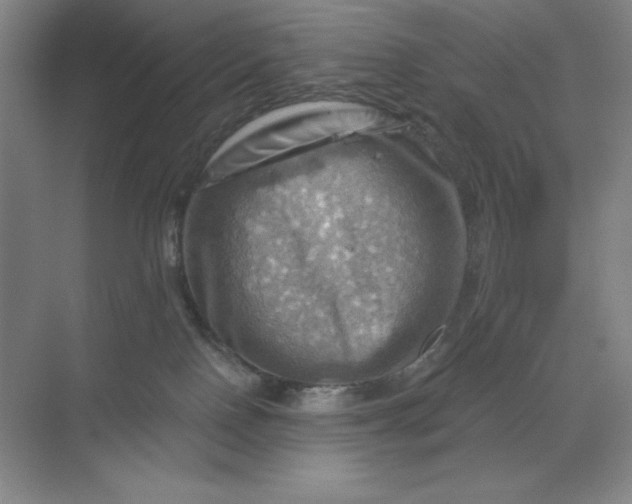 X0000068820090200605191844