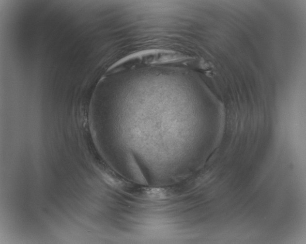 X0000068820091200605191844