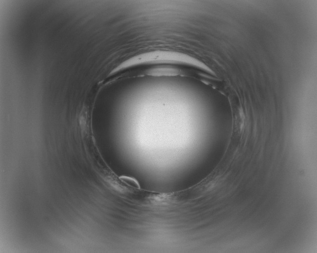 X0000068820092200605191844