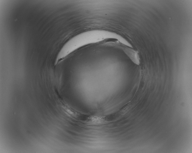 X0000068820093200605191844