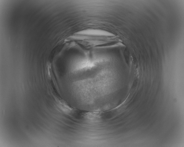 X0000068820094200605191844