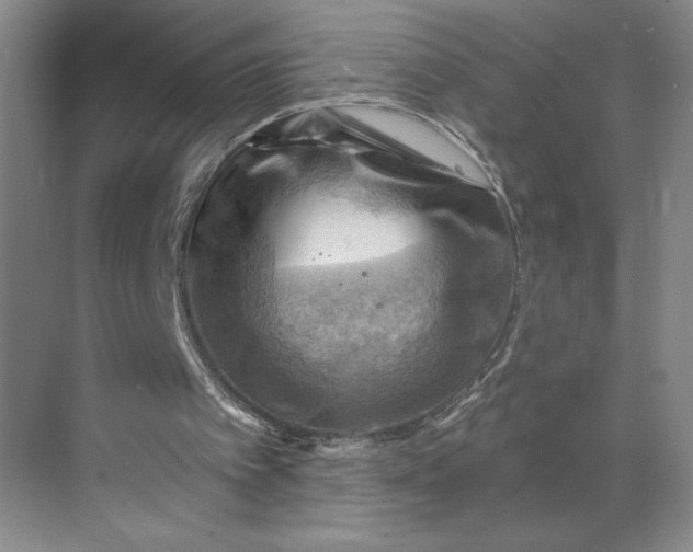 X0000068820097200605191843