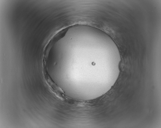 X0000068820098200605191843