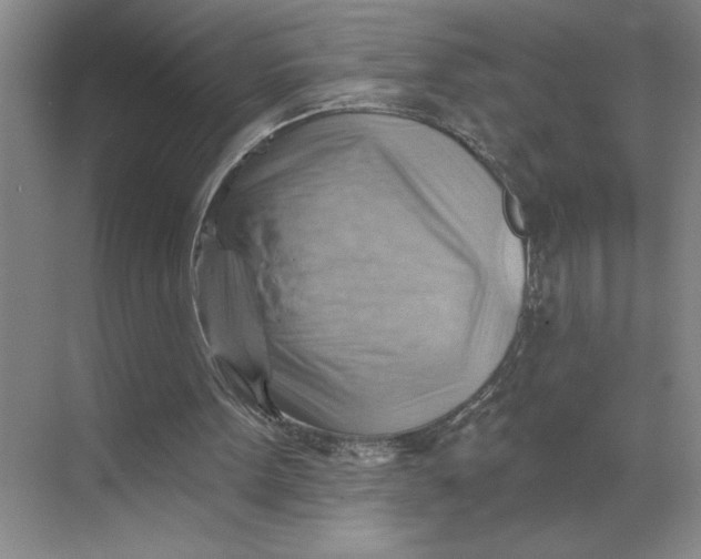 X0000068820099200605191843