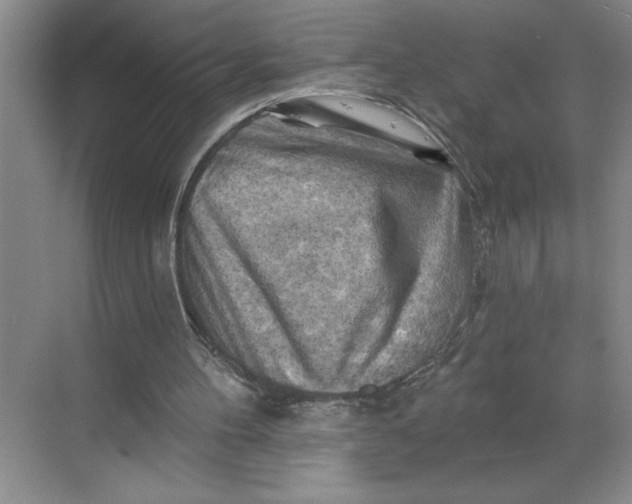 X0000068820100200605191843