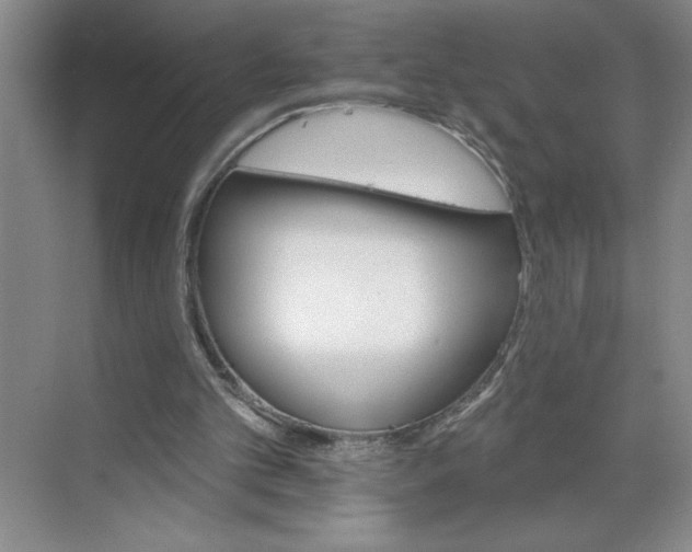 X0000068820101200605191843