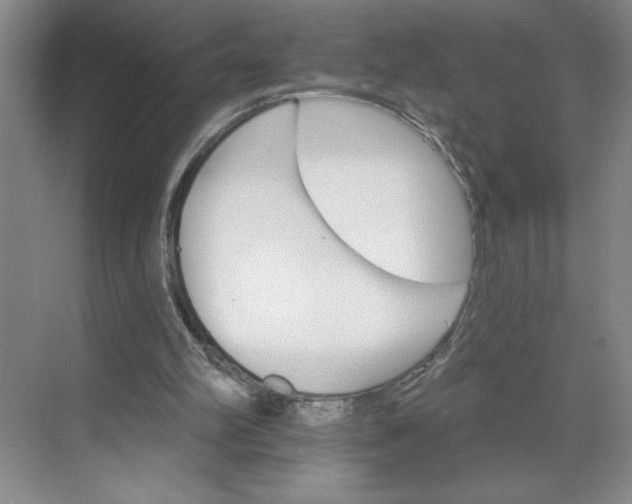 X0000068820102200605191843