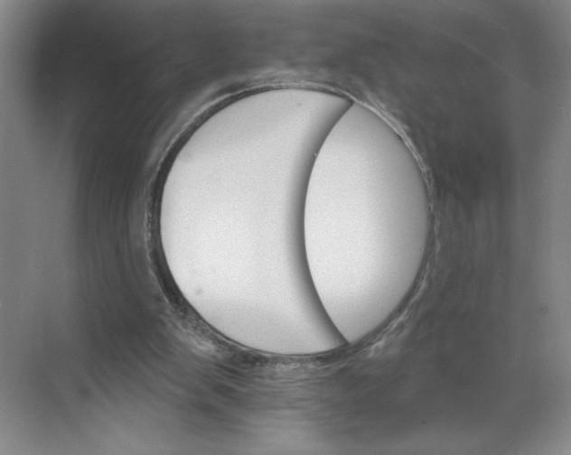 X0000068820103200605191843