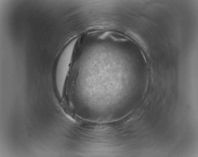 X0000068820105200605191843