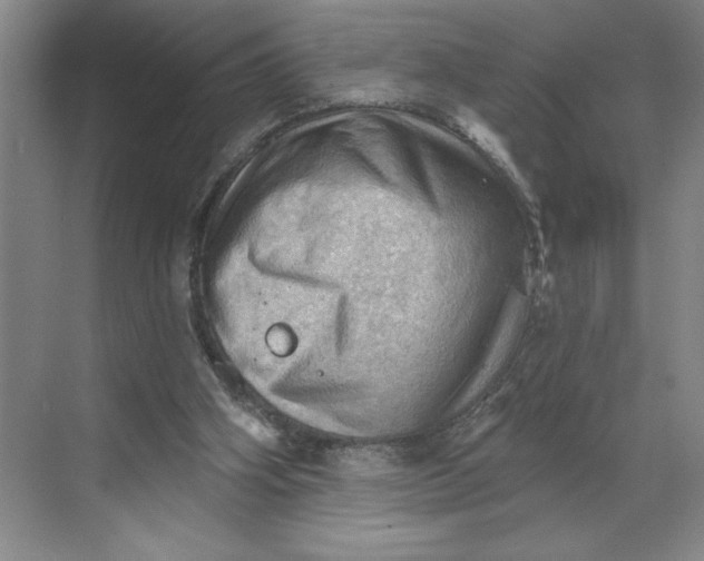 X0000068820106200605191843