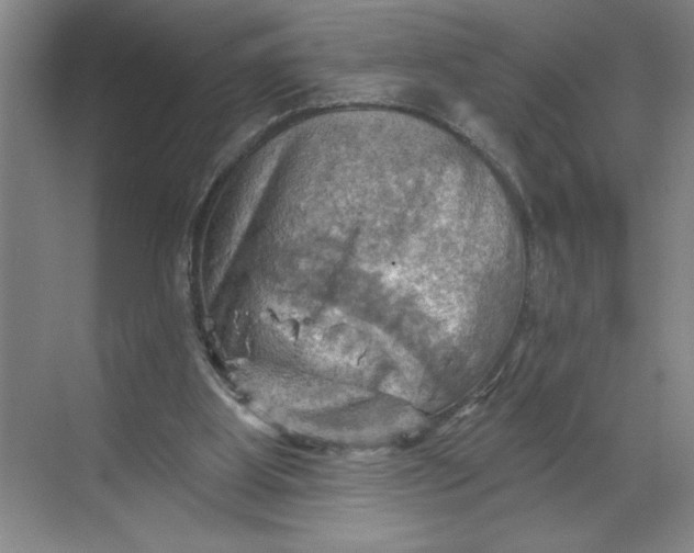 X0000068820107200605191843