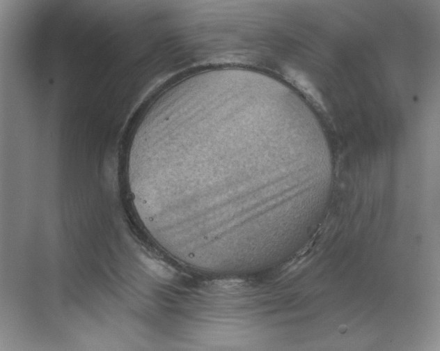 X0000068820108200605191843