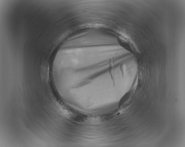 X0000068820110200605191843