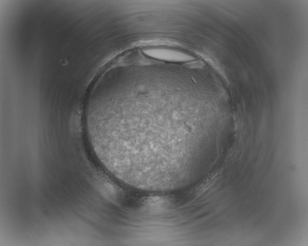 X0000068820111200605191843