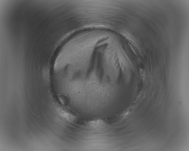 X0000068820112200605191843