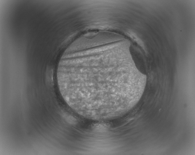 X0000068820115200605191843