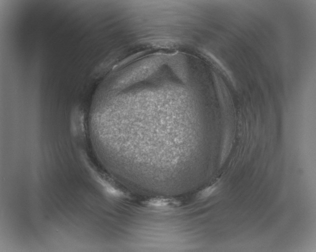 X0000068820117200605191843